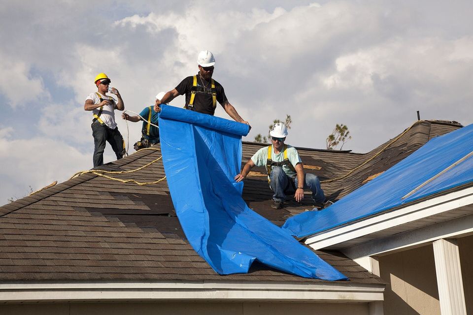 Roofers in safety harnesses unrolling blue sheeting over a storm-damaged shingle roof