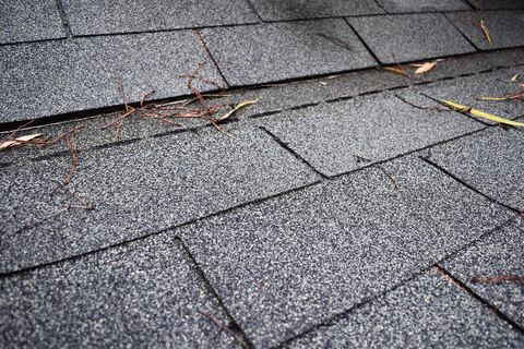 Close-up of gray asphalt shingles with pine needles caught along the courses