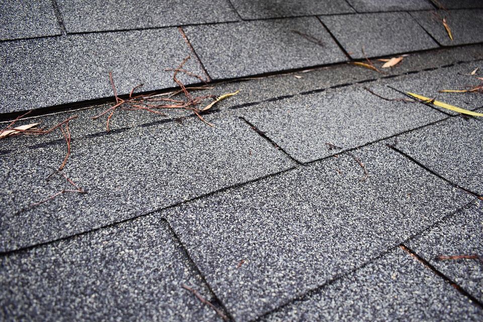 Close-up of gray asphalt shingles with pine needles caught along the courses
