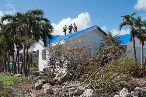 Workers on a tarped roof after a hurricane, with palms and broken shrubs below